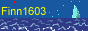 WEB - лаборатория Finn1603
